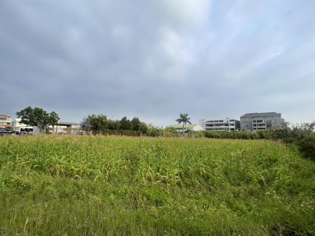 永康農地-7
