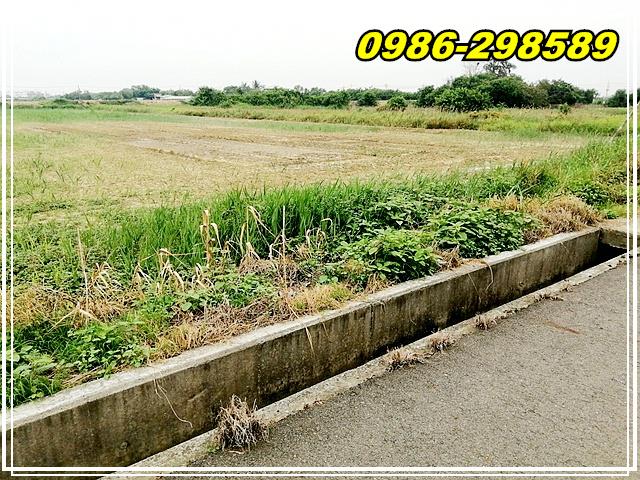 七股農地-10