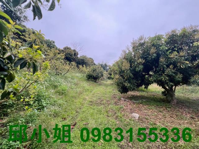 嘉義農地-6