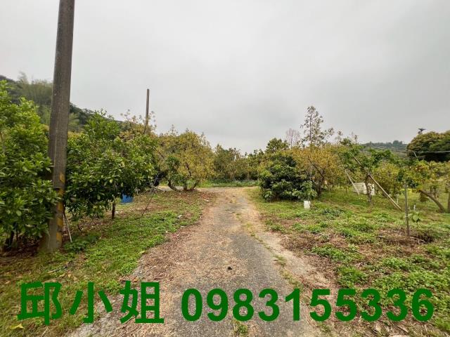 嘉義農地-8