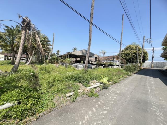 美濃農地-2