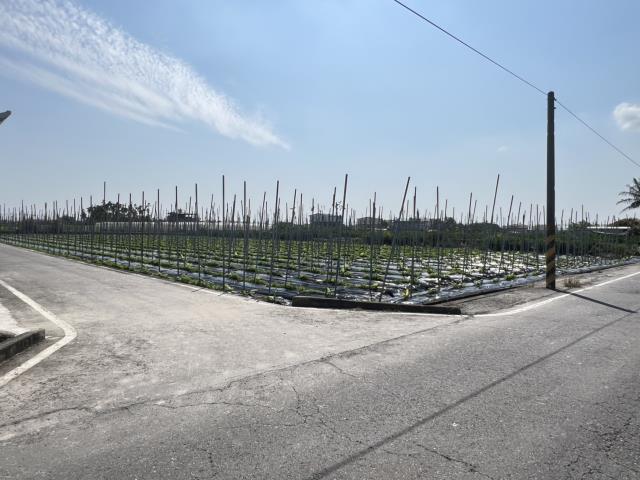 美濃農地-5