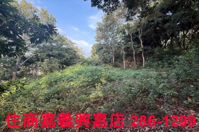 番路農地-3