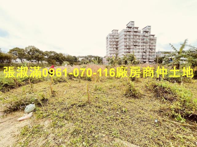 桃園農地-1