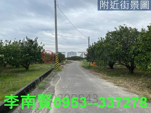 麻豆農地-4
