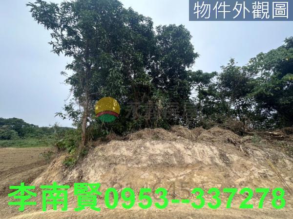 新化農地-3