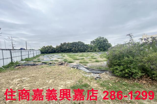 民雄農地-5