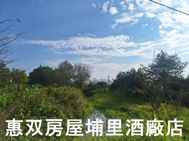 南投埔里農地-3