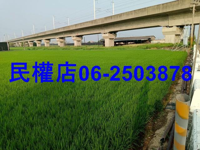 台南六甲農地-9
