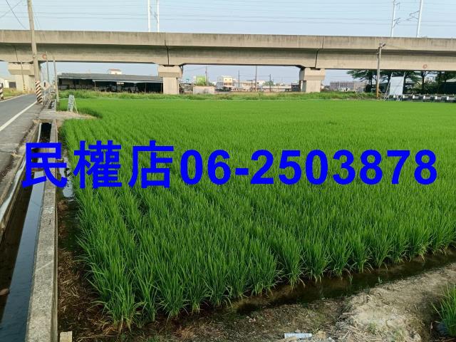 台南六甲農地-1