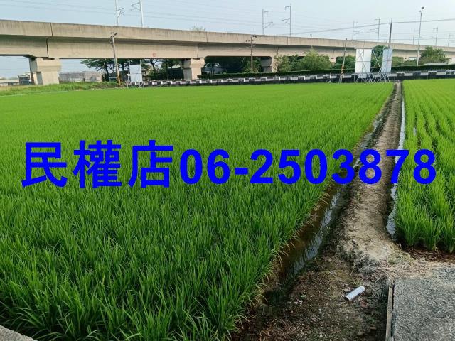 台南六甲農地-2