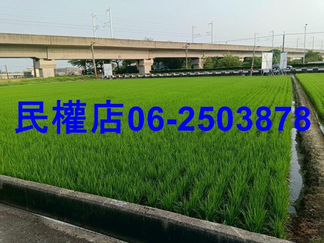 台南六甲農地-4