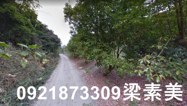 杉林農地-3