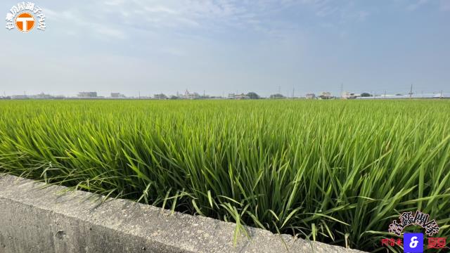 溪口農地-2