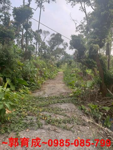 中埔農地-0
