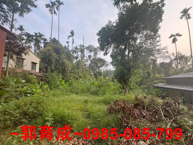 中埔農地-1