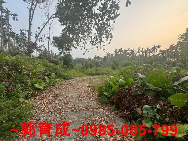 中埔農地-3
