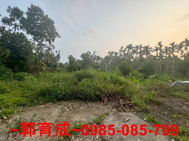 中埔農地-5