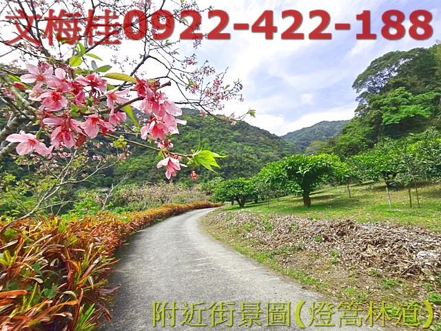 員山農地-5