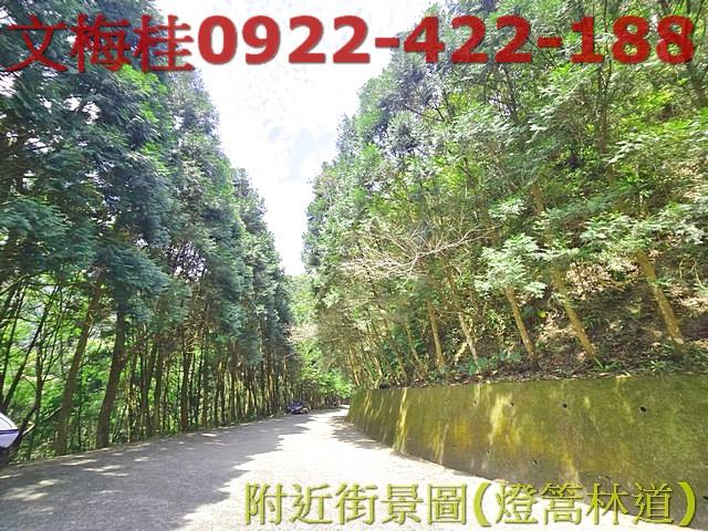 員山農地-8