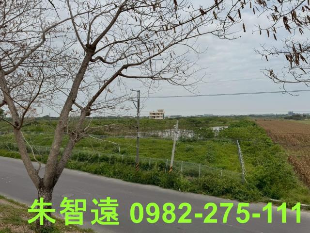 安南農地-1