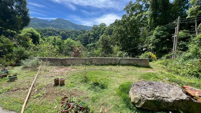 新竹橫山山坡地-3