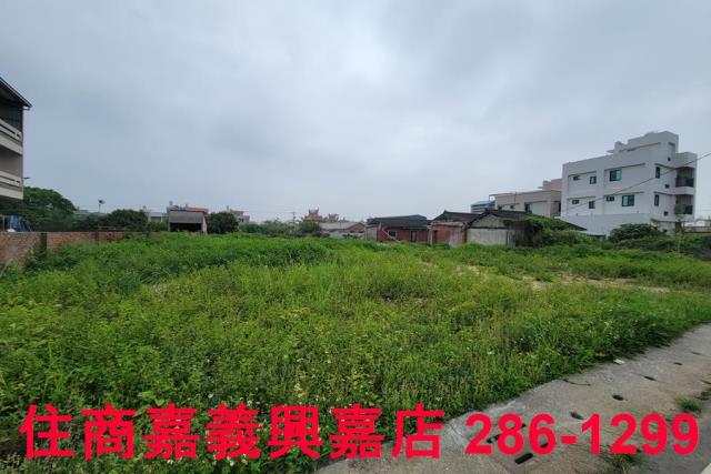 民雄農地-7