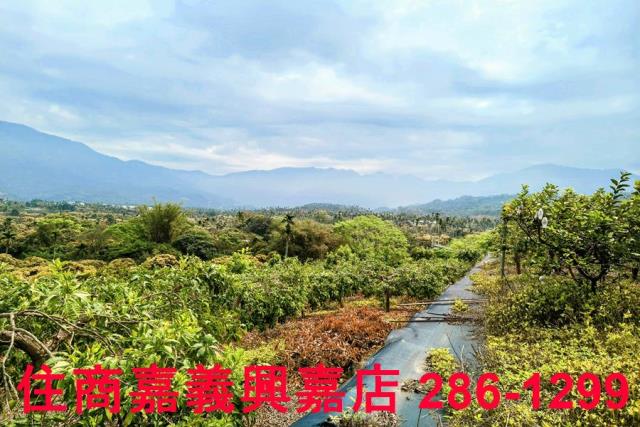 嘉義農地-10
