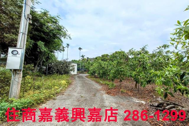 嘉義農地-2