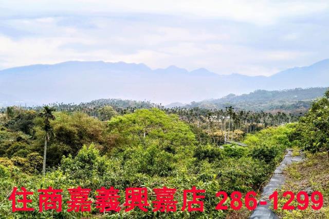 嘉義農地-7