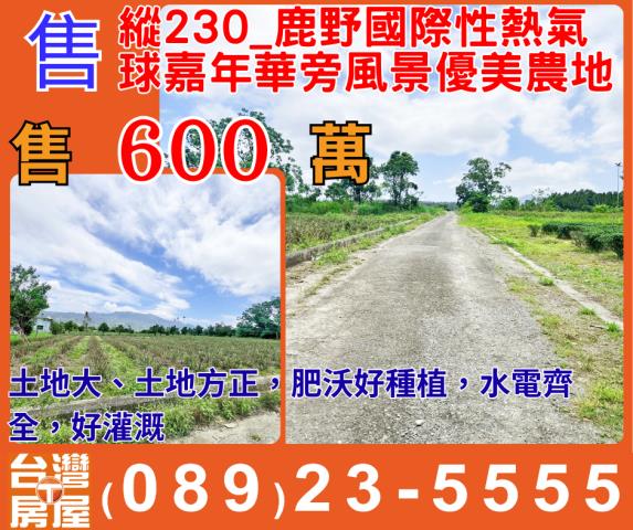 台東鹿野農地-0
