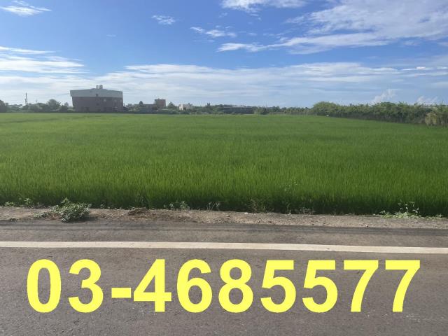 觀音農地-1