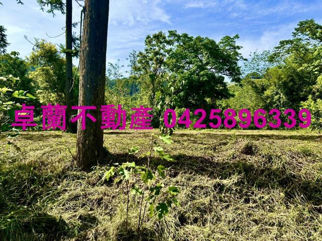 苗栗農地-9