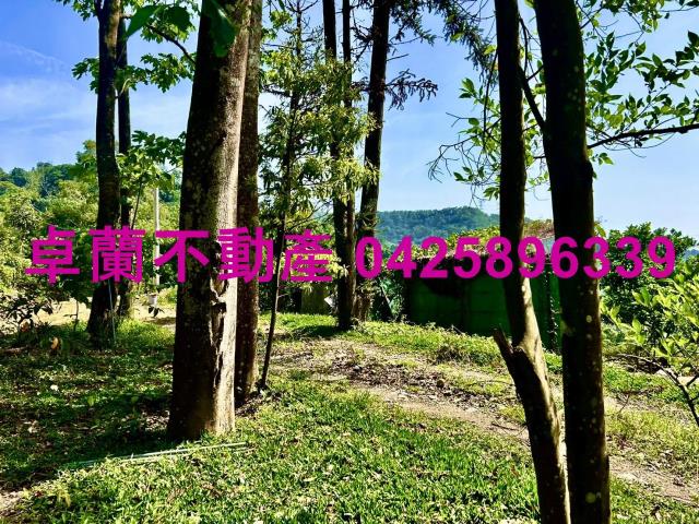 苗栗農地-11