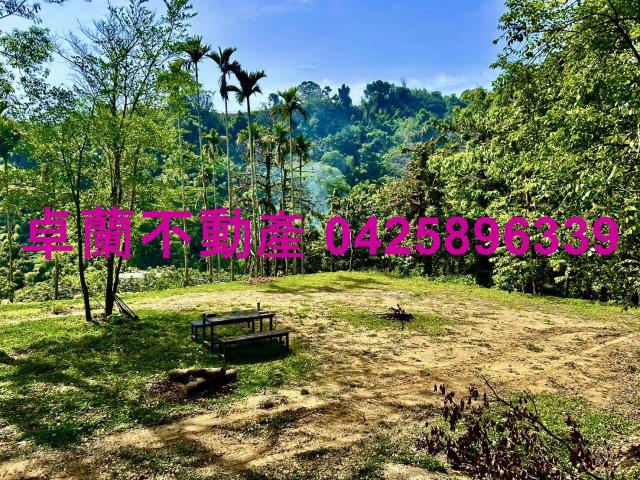 苗栗農地-12