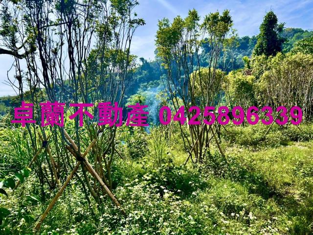 苗栗農地-0