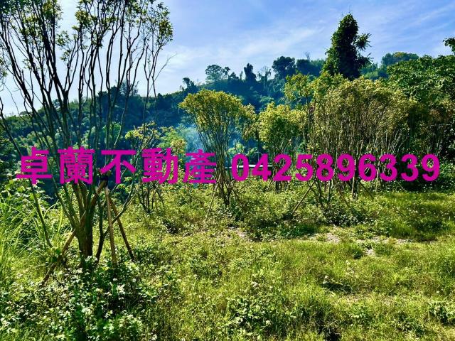 苗栗農地-2