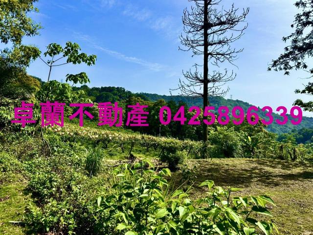 苗栗農地-3