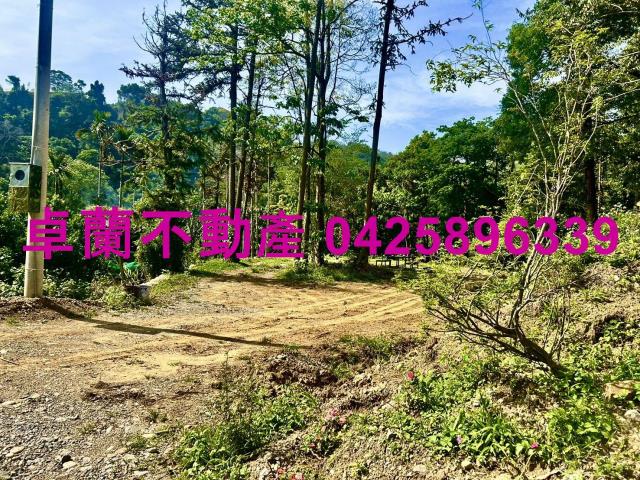 苗栗農地-6