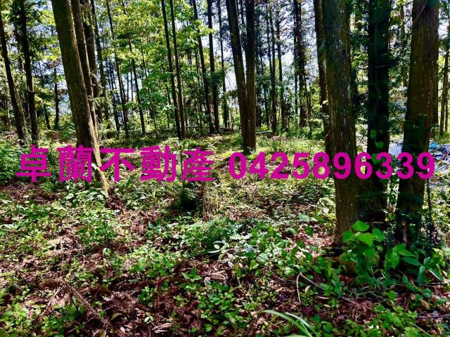 苗栗農地-8