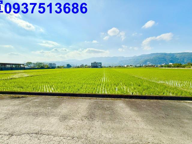 礁溪農地-8