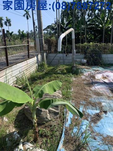 屏東長治農地-6