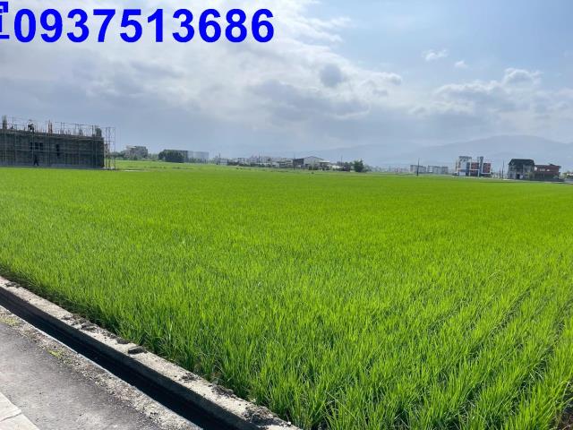 宜蘭農地-6