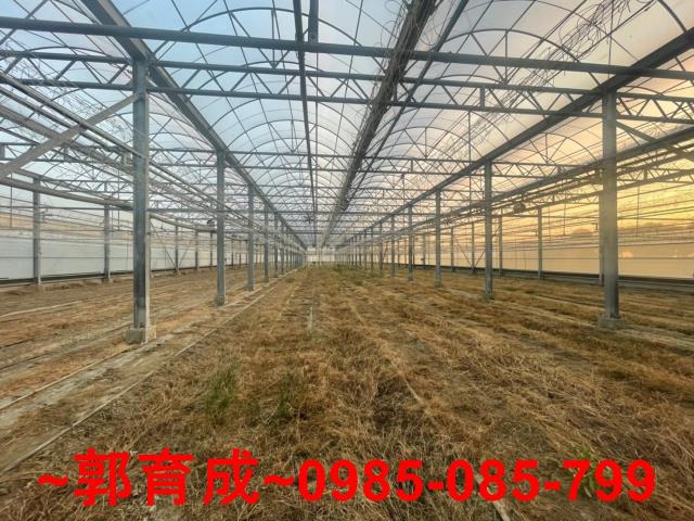 嘉義鹿草溫室-1