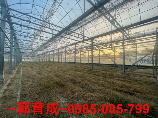 嘉義鹿草溫室-2