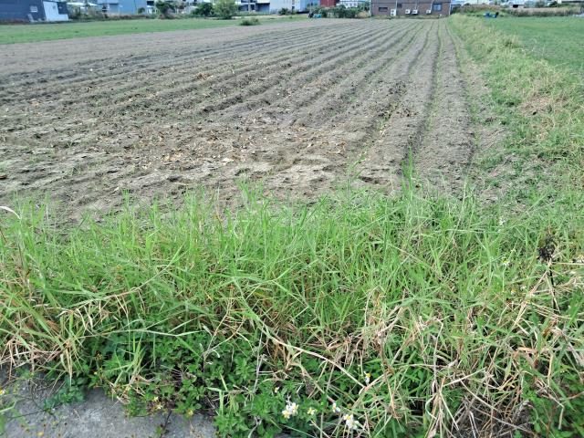 永康農地-4