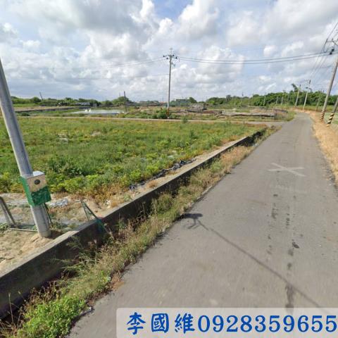 義竹法拍農地-1