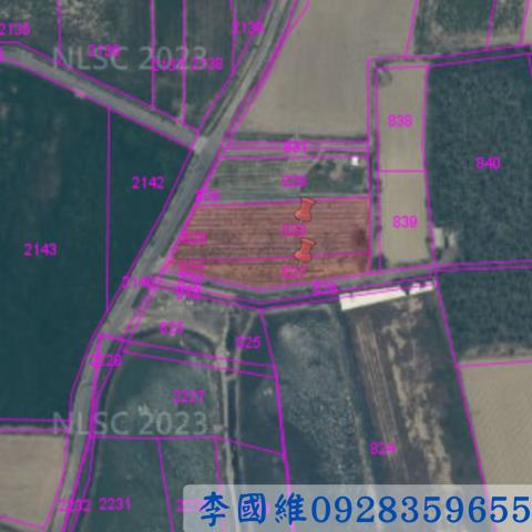 義竹法拍農地-2