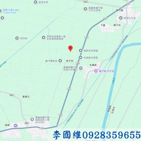 義竹法拍農地-3