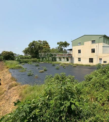 東區農地-0